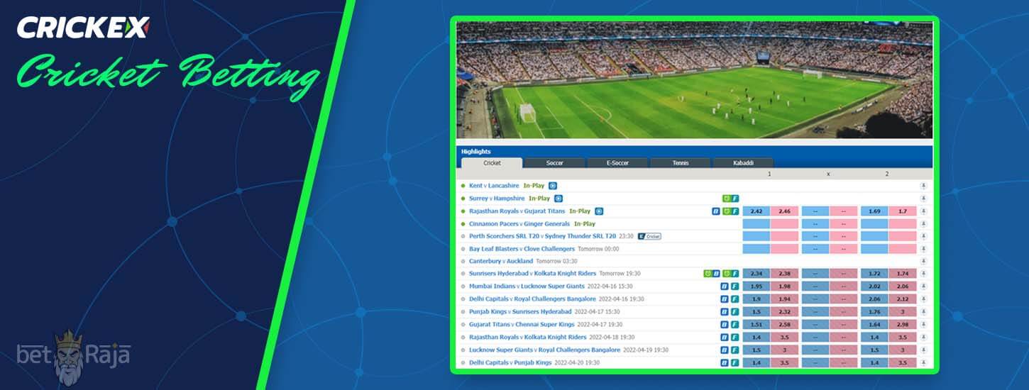 Cricket betting section on the Crickex betting platform.