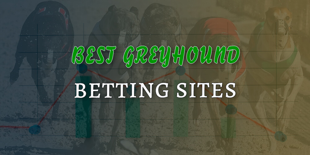 The best greyhound betting sites in India