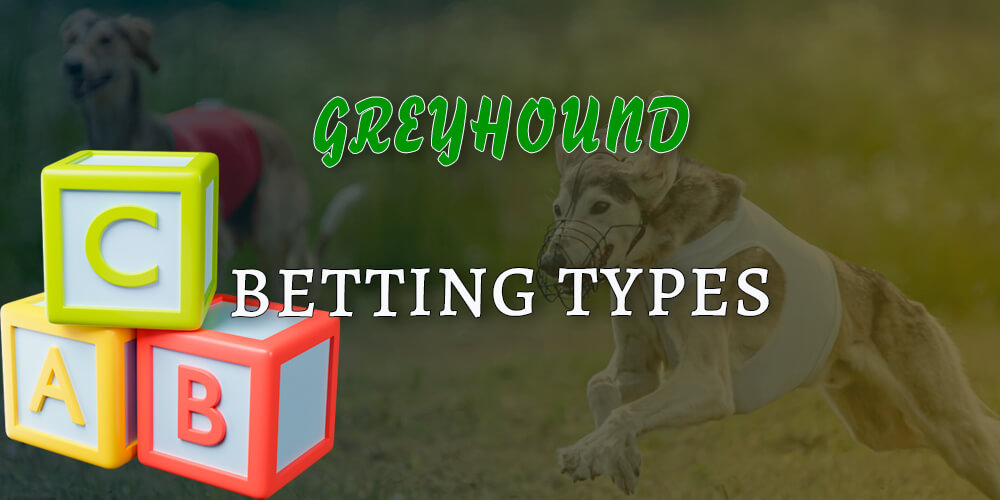 Types of greyhound racing bets you can place