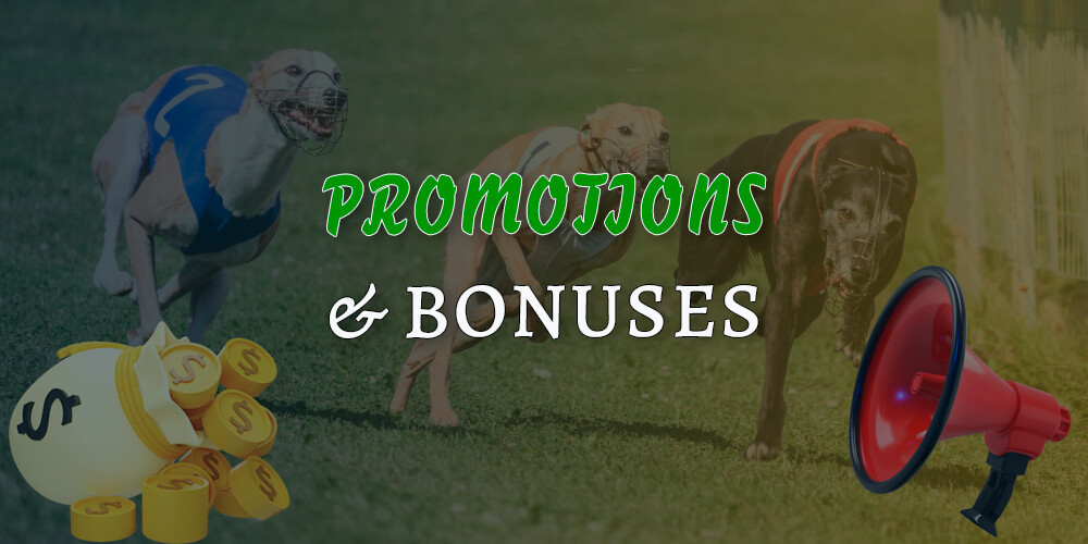 Best promotions and bonuses for greyhound racing