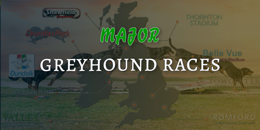 The biggest greyhound races in the world