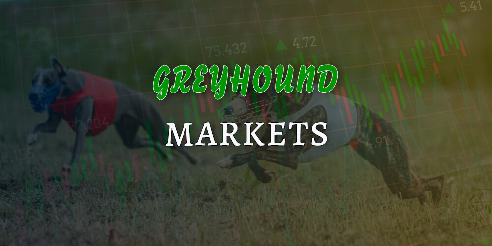 All about greyhound markets